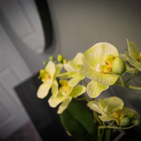 Topper's Guest 3* Carrick-on-Shannon