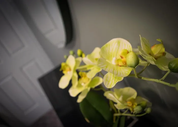 Topper's Guest 3* Carrick on Shannon